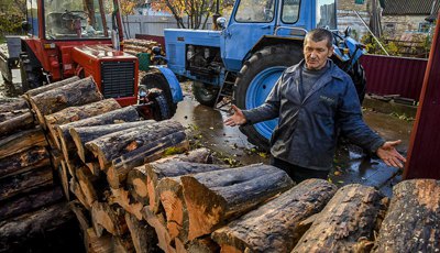 “Закон про дрова”: навіщо, хто ініціатор і кого каратимуть 