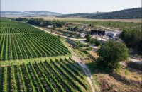 Чому виноградарсько-виноробна галузь є нішевою для України