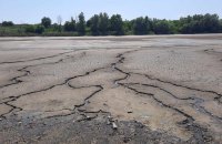 Біорізноманіття в умовах війни: як збереження природи наближає Україну до ЄС