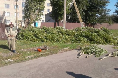 У Запорізькій області жінку вбило струмом через обрізану гілку дерева