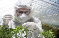 Американські вчені визнали продукти з ГМО безпечними для людини