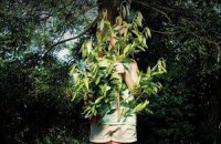 Дика природа: топ-5 історій від відомих авторів