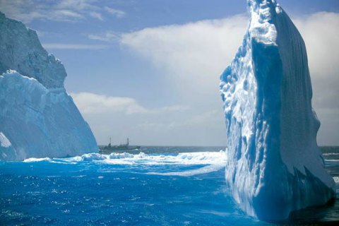 В Антарктике создадут крупнейшую морскую заповедную зону
