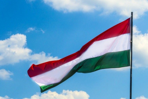 Венгрия призвала ввести наблюдателей ОБСЕ на Закарпатье