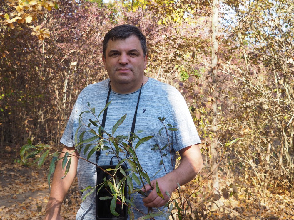 Іван Мойсієнко