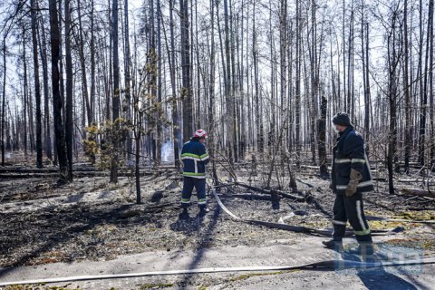 Более 1,5 тыс. человек продолжают тушить лесные пожары в Житомирской и Киевской областях