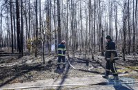 Понад 1,5 тис. осіб продовжують гасити лісові пожежі в Житомирській і Київській областях