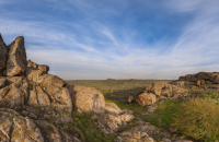 Природно-заповідний фонд Донеччини з початку повномасштабної війни зазнав понад 2,5 трлн. грн збитків 
