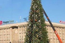 В Киеве установили главную елку страны