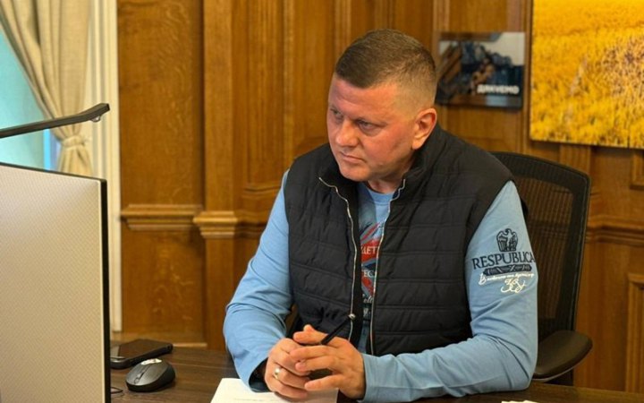 Залужний: в Україні створили «штучну боротьбу» неіснуючих партій 