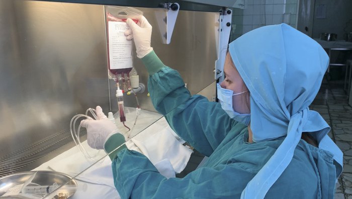 Перевiрка донорських клітин перед трансплантацією
