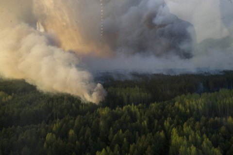 У Чорнобильській зоні виникла пожежа