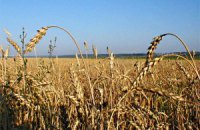 Рада установила 9-14% пошлины на экспорт зерна