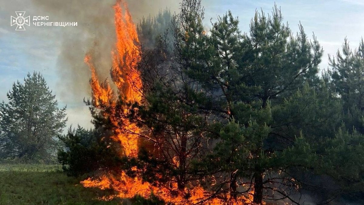 Пожежа в екосистемах сталася внаслідок падіння російського дрона
