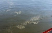 У Миколаївському морпорту трапився розлив соняшникової олії в море
