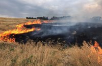 На Донбассе из-за засухи начались масштабные лесные пожары