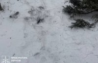 Окупанти атакували FPV-дроном на оптоволокні Дергачівську громаду 