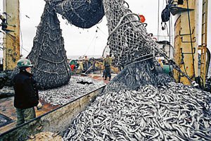 Україна втрачає з Кримом дві третини свого вилову риби