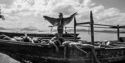 Кіно морального неспокою: що покаже 52-га «Молодість»