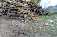 Кабмін виділив 563 млн грн для придбання дров