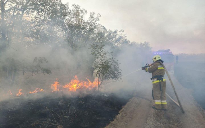На Миколаївщині – масштабна пожежа на території заповідної зони