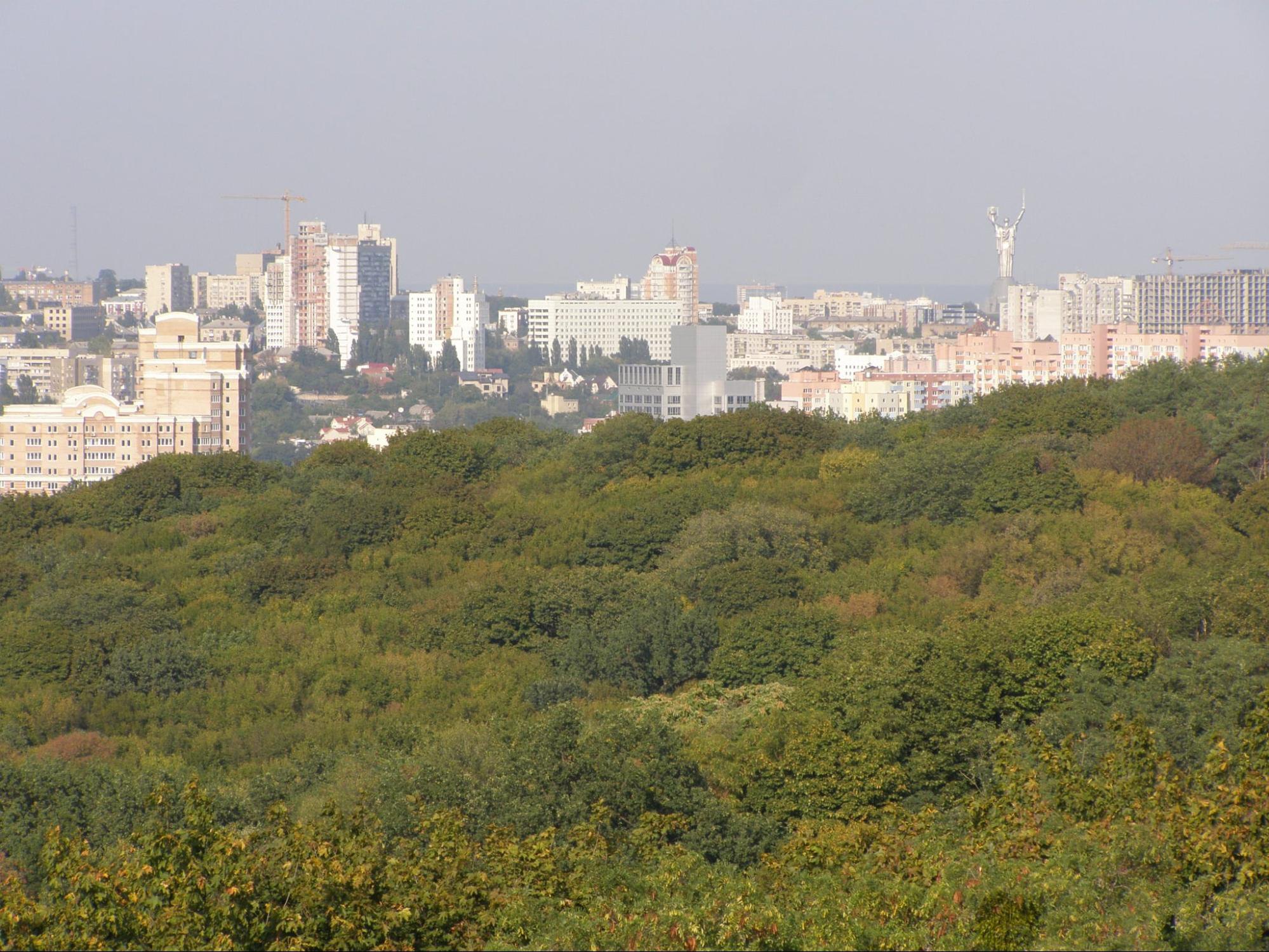 Панорамний вид з Голосіївської вежі