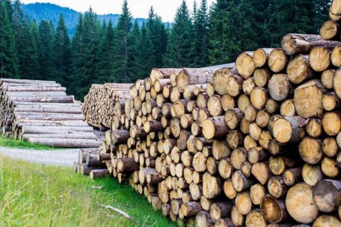 Арбитры признали, что Украина имеет право ограничивать экспорт леса при определенных обстоятельствах