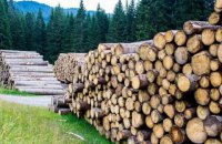 Арбитры признали, что Украина имеет право ограничивать экспорт леса при определенных обстоятельствах