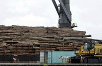 НАБУ задержало экс-директора Гутянского лесхоза за растрату древесины на 50 млн гривен