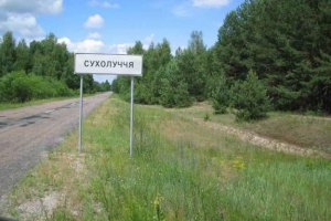 Суд отобрал у Януковича 9 гектаров леса в Сухолучье