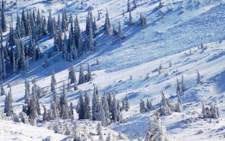 Румунські рятувальники проводять у Карпатах операцію з порятунку двох українців