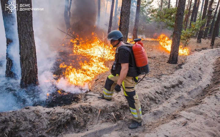 Вогнеборці локалізували масштабну пожежу в нацпарку "Святі гори" на Донеччині