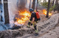 Вогнеборці локалізували масштабну пожежу в нацпарку "Святі гори" на Донеччині