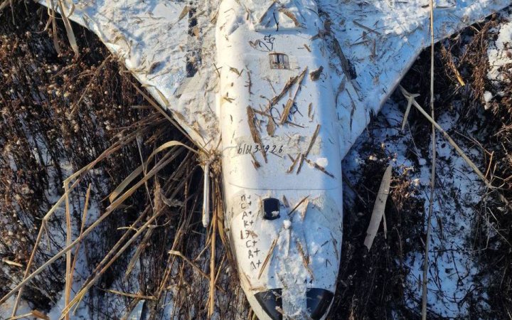 У Молдові на березі озера виявили російський дрон "Гербера"