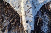 У Молдові на березі озера виявили російський дрон "Гербера"