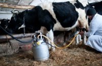 Держава контролюватиме ціни на молоко