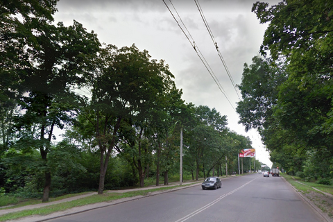 В Харькове дерево упало на рабочих, три человека получили травмы