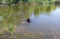 На Чернігівщині за добу потонуло 4 людини