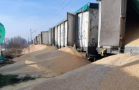 ЄС обіцяє посилити контроль за ввезенням зерна з України 