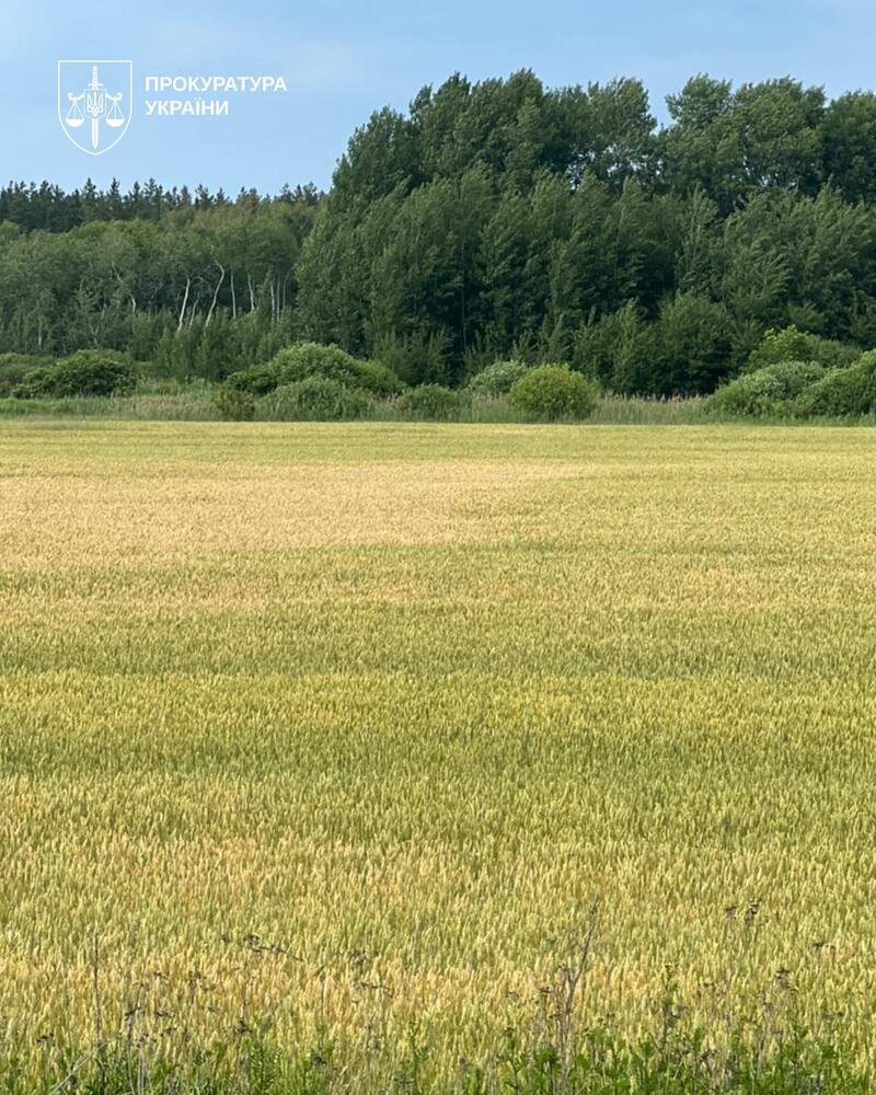 Державі повернули 564 га особливо цінних земель НААН