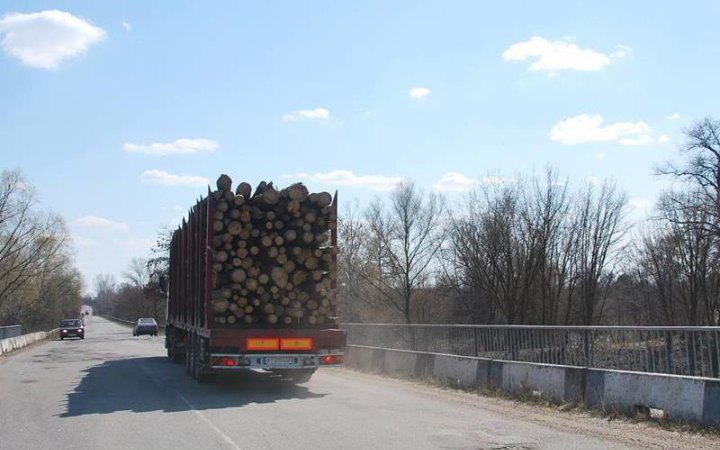 Попит на дрова цьогоріч зріс удвічі, а процедуру їх купівлі в лісівників спростили, - Міндовкілля