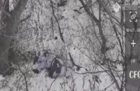 “Спартан”, “Птахи Мадяра” та суміжні підрозділи знищили 80 російських штурмовиків