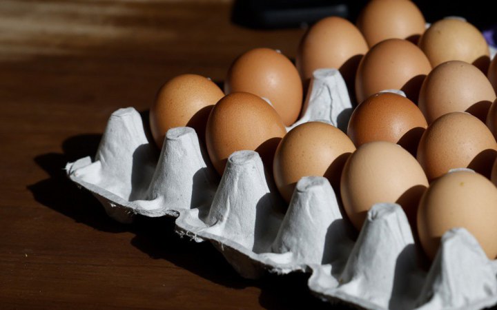 Справа «золотих яєць» у Міноборони: НАБУ і САП завершили розслідування 