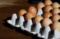 Справа «золотих яєць» у Міноборони: НАБУ і САП завершили розслідування 