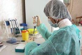 Украина на пороге свиного гриппа