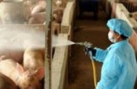 «Откатная пандемия», или Кому выгоден «свиной» грипп в Украине?