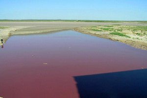 В Техасе озеро окрасилось в красный цвет