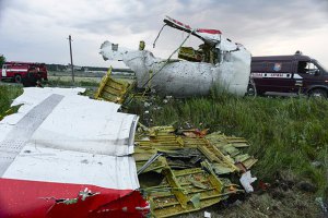В авиакатастрофе в Донецкой области погибли фанаты "Ньюкасла"