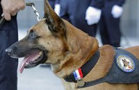 Собаку наградили медалью за службу в полиции Франции