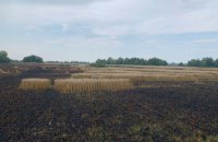 Росія обстріляла Сумщину, згоріло поле пшениці